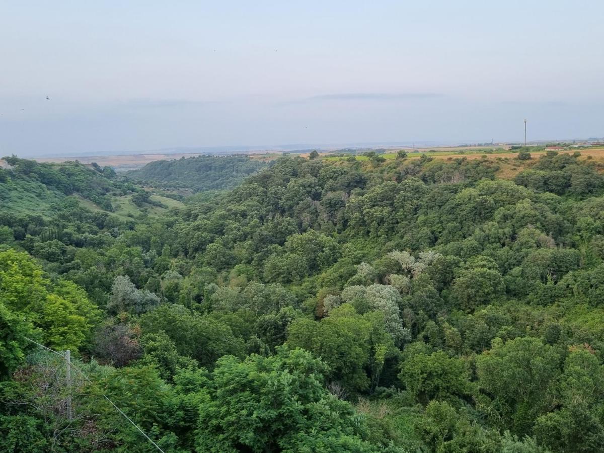 Suite D'Avalos Venosa Dış mekan fotoğraf