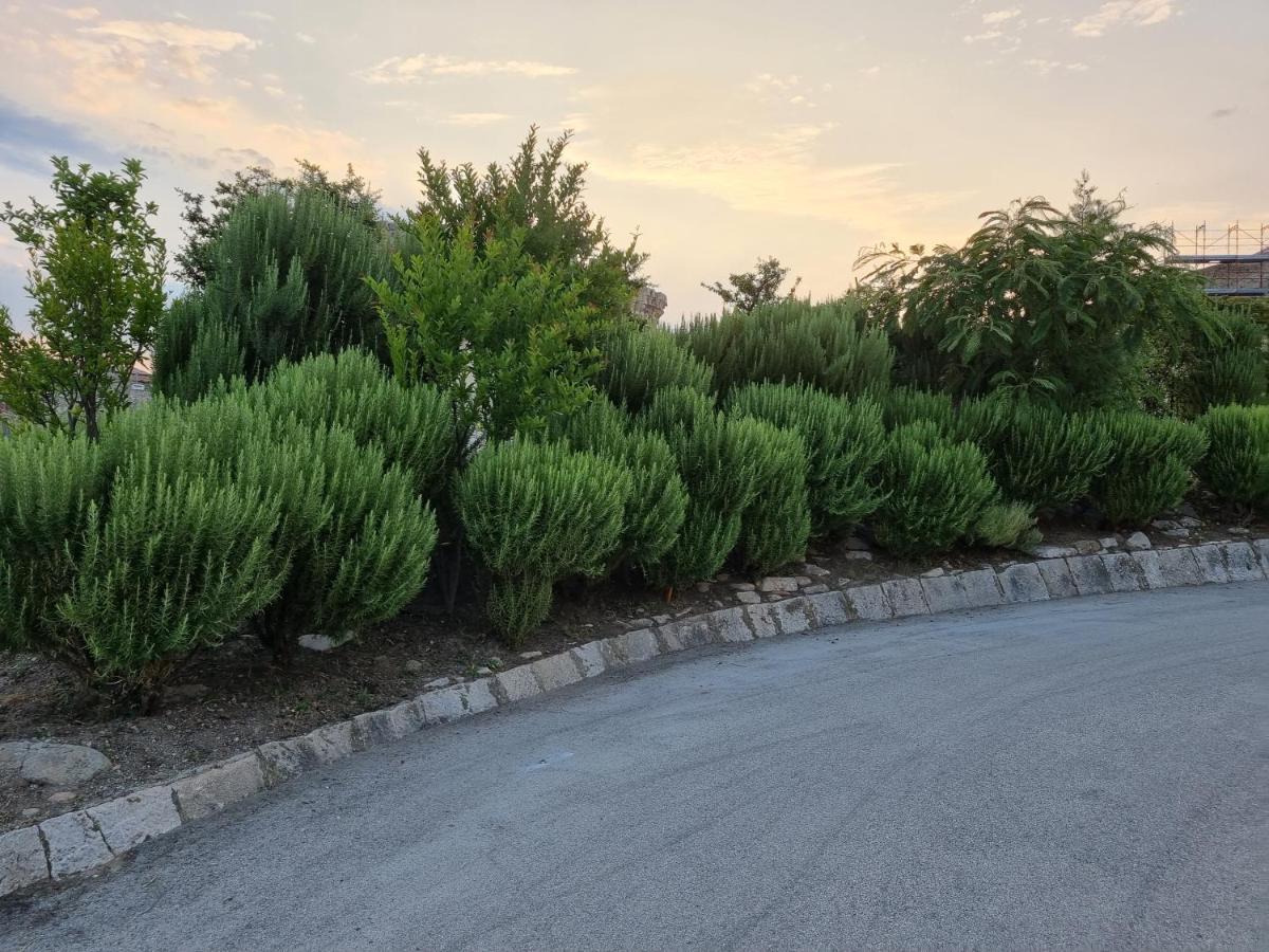 Suite D'Avalos Venosa Dış mekan fotoğraf